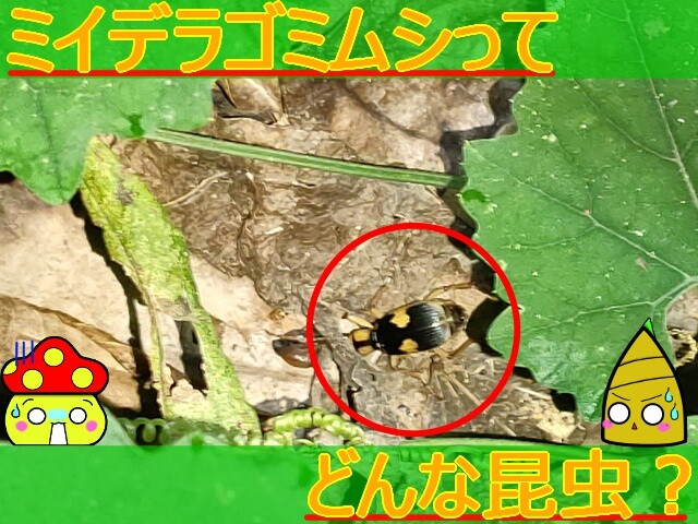 Thumbnail of post image 157